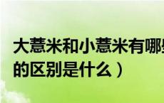 大薏米和小薏米有哪些区别（大薏米和小薏米的区别是什么）
