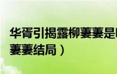 华胥引揭露柳萋萋是哪一集（华胥引电视剧柳萋萋结局）