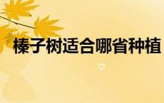榛子树适合哪省种植（榛子树的种植方法）
