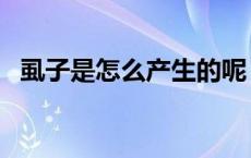 虱子是怎么产生的呢（虱子是怎么产生的）