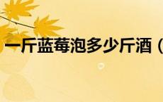 一斤蓝莓泡多少斤酒（一斤蓝莓泡几斤白酒）