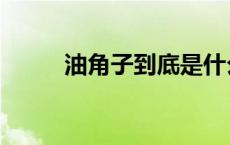 油角子到底是什么（油角是什么）