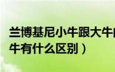 兰博基尼小牛跟大牛的区别（兰博基尼大牛小牛有什么区别）