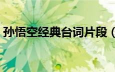 孙悟空经典台词片段（大妖孙悟空经典语录）