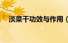 淡菜干功效与作用（淡菜干是什么东西）