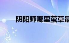 阴阳师哪里萤草最多（萤草哪里多）