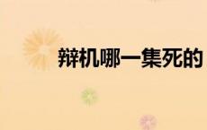 辩机哪一集死的（辩机怎么死的）
