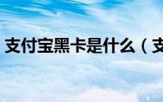 支付宝黑卡是什么（支付宝黑卡是什么东西）