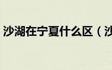 沙湖在宁夏什么区（沙湖在宁夏的什么地方）