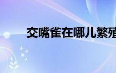 交嘴雀在哪儿繁殖（交嘴雀的特点）