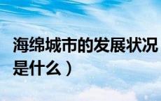 海绵城市的发展状况（海绵城市的概念及内容是什么）
