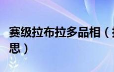 赛级拉布拉多品相（拉布拉多犬赛级是什么意思）
