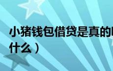 小猪钱包借贷是真的吗（小猪钱包申请条件是什么）