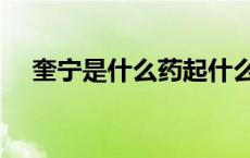 奎宁是什么药起什么作用（奎宁是什么）
