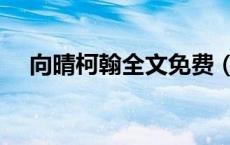 向晴柯翰全文免费（向晴柯翰什么小说）