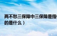 两不愁三保障中三保障是指什么（两不愁三保障中三保障指的是什么）