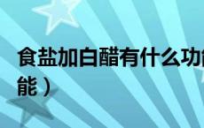 食盐加白醋有什么功能（食盐加白醋有什么功能）