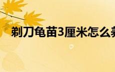 剃刀龟苗3厘米怎么养（剃刀龟苗怎么养）