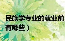 民族学专业的就业前景如何（民族学就业方向有哪些）