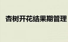 杏树开花结果期管理（杏树多久开花结果）