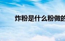 炸粉是什么粉做的（炸粉是什么粉）