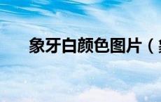 象牙白颜色图片（象牙白是什么颜色）