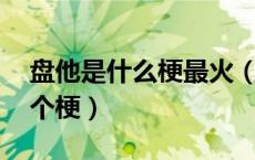 盘他是什么梗最火（盘他是什么梗 原来是这个梗）