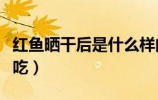 红鱼晒干后是什么样的（红鱼晒干后怎么做好吃）