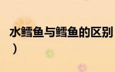水鳕鱼与鳕鱼的区别（水鳕鱼和鳕鱼有区别吗）