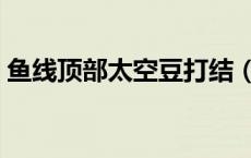鱼线顶部太空豆打结（太空豆怎么穿鱼线上）