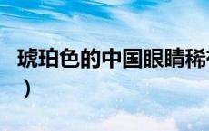 琥珀色的中国眼睛稀有吗（琥珀色眼睛罕见吗）