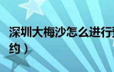 深圳大梅沙怎么进行预约（深圳大梅沙怎么预约）