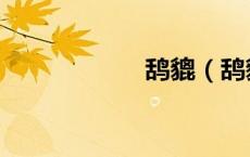 鸹貔（鸹貔是什么）