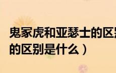 鬼冢虎和亚瑟士的区别照片（鬼冢虎和亚瑟士的区别是什么）