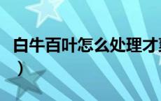 白牛百叶怎么处理才爽脆（牛百叶怎么洗干净）