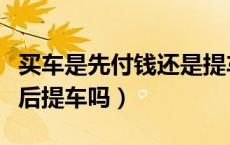 买车是先付钱还是提车时付钱（买车是先付钱后提车吗）