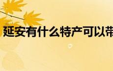 延安有什么特产可以带的（延安有什么特产）