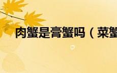 肉蟹是膏蟹吗（菜蟹跟膏蟹有什么区别）
