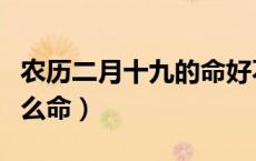 农历二月十九的命好不好（农历二月十九是什么命）