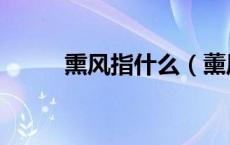 熏风指什么（薰风和熏风的区别）