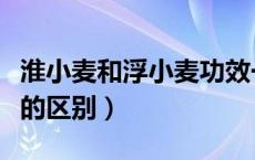 淮小麦和浮小麦功效一样吗（淮小麦和浮小麦的区别）