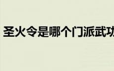 圣火令是哪个门派武功（圣火令是什么武功）