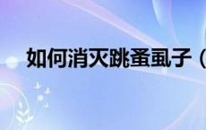 如何消灭跳蚤虱子（虱子和跳蚤一样吗）