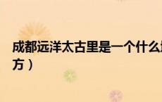 成都远洋太古里是一个什么地方（成都远洋太古里是什么地方）