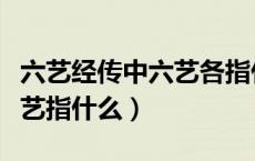 六艺经传中六艺各指什么意思（六艺经传中六艺指什么）