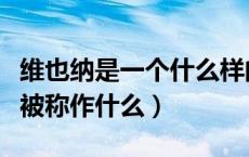 维也纳是一个什么样的国家（维也纳这个国家被称作什么）