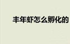 丰年虾怎么孵化的（丰年虾怎么孵化）