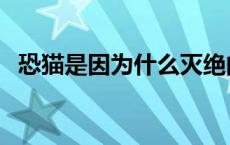 恐猫是因为什么灭绝的（恐猫为什么灭绝）