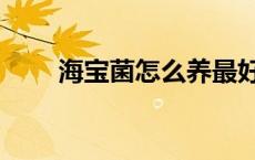 海宝菌怎么养最好（海宝菌怎么养）