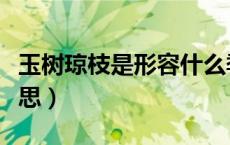 玉树琼枝是形容什么季节的（玉树琼枝是啥意思）